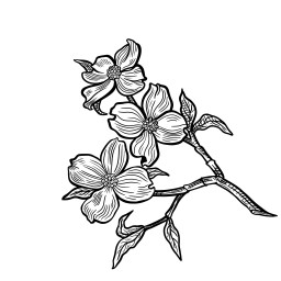 Main image of Dogwood Jiu Jitsu
