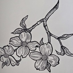 Main image of Dogwood Martial Arts