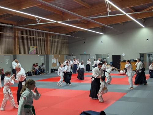 Main image of Dojo Aikido Talence
