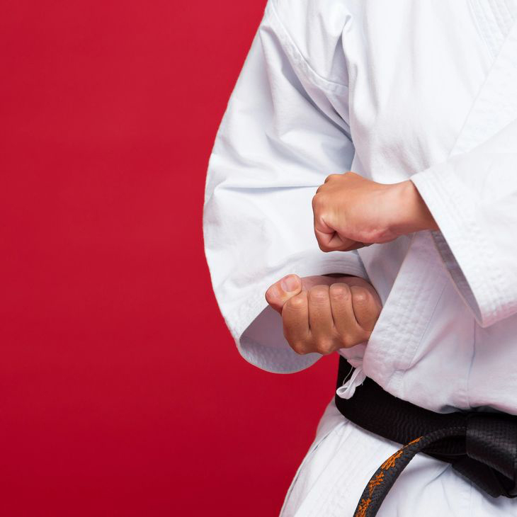 Main image of DOJO