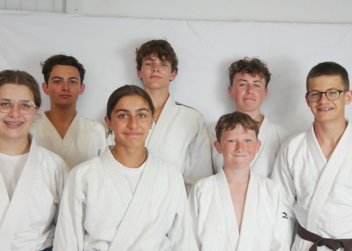 Main image of Dojo Basse Goulaine