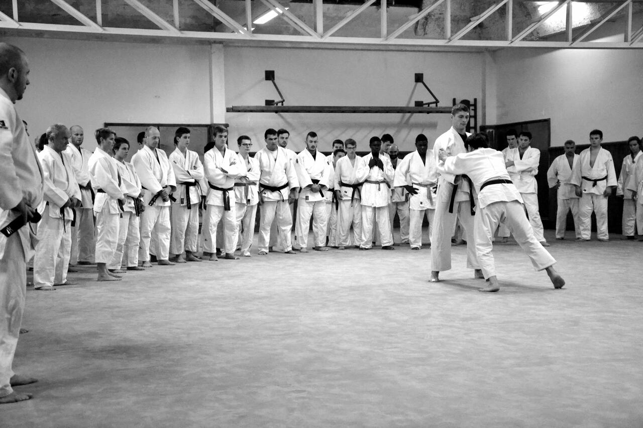 Main image of Dojo Brestois
