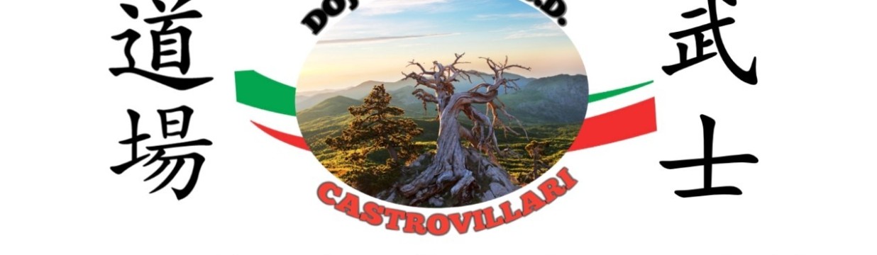 Main image of DOJO BUSHI CASTROVILLARI A.S.D.