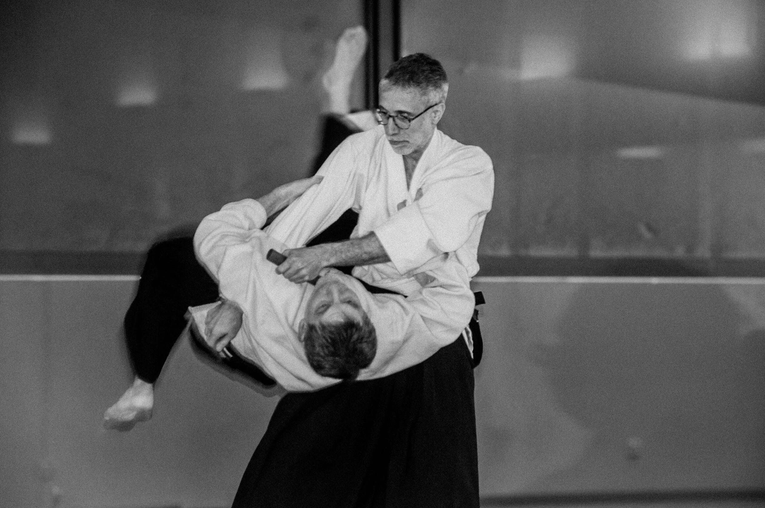Main image of Dojo d'Aikido Traditionnel de Beynost