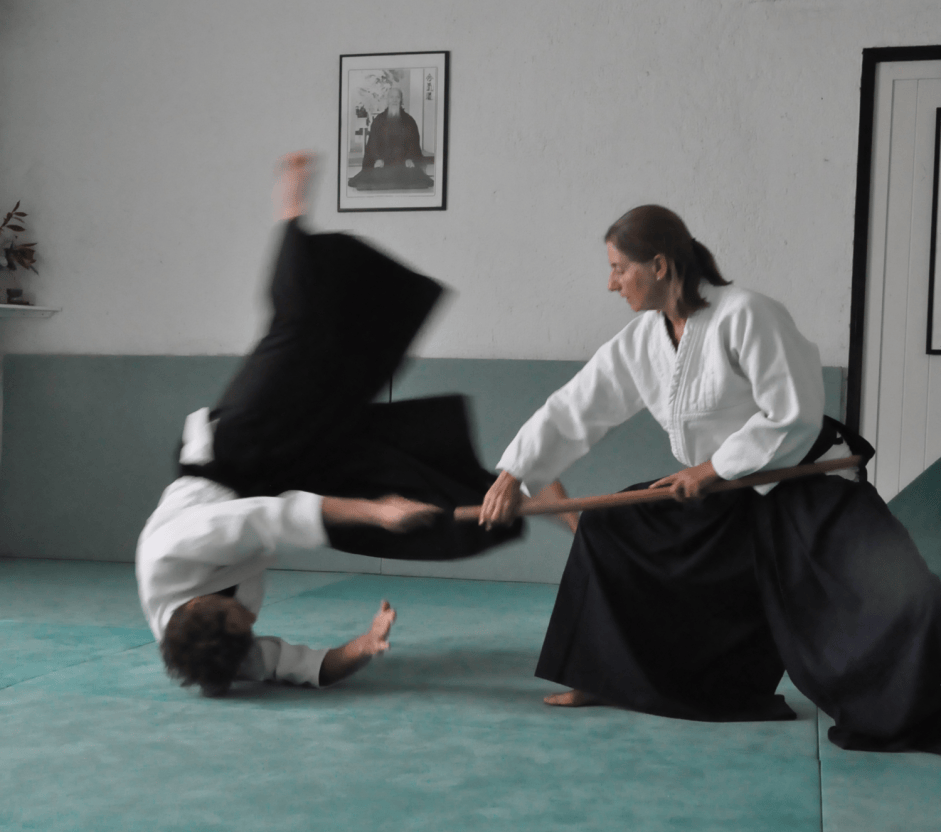 Main image of Dojo de Manas