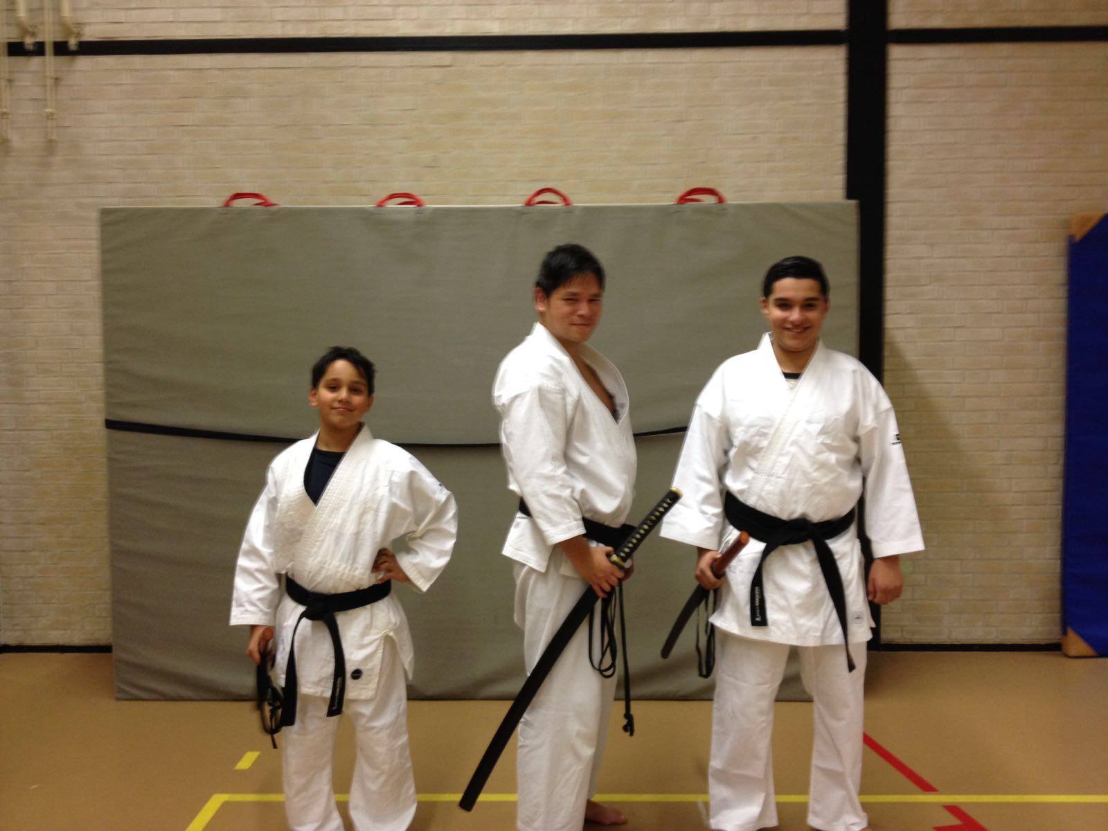 Main image of Dojo Haarlem