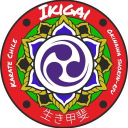 Main image of Dojo Ikigai Linares