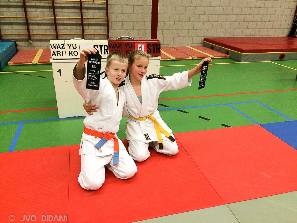 Main image of Dojo JVO Didam