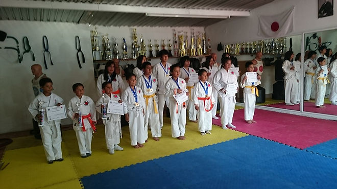 Main image of Dojo Kenseikan Nippon Kempo