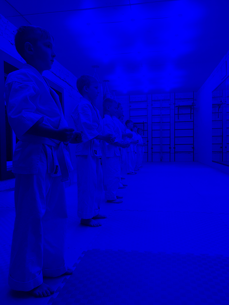 Main image of Dojo Kovel