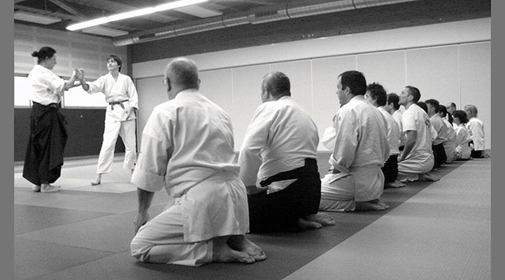 Main image of Dojo Loire Aikido