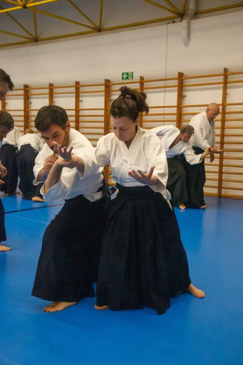 Main image of Dojo Meishûkan Espai Feilen Yoga