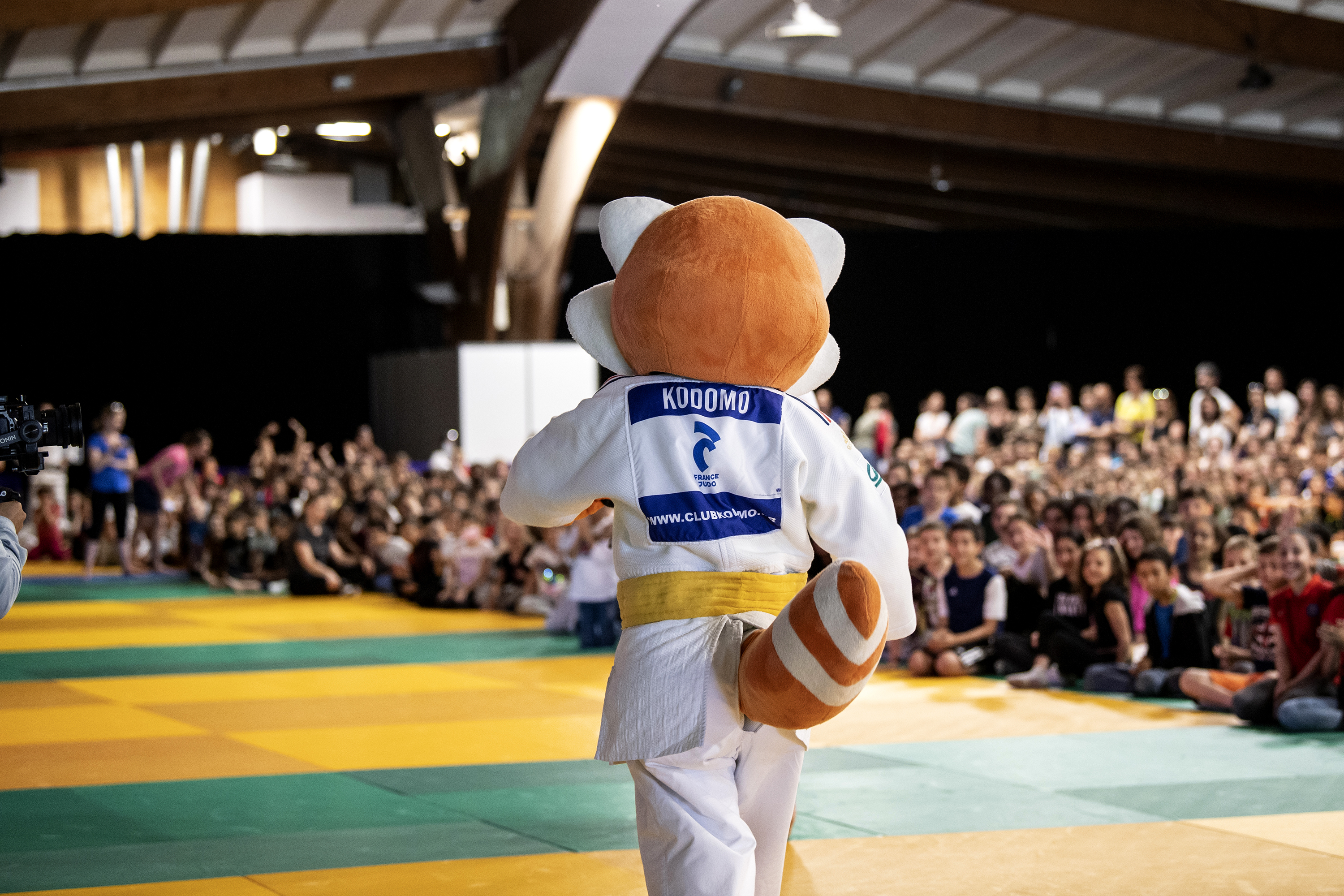 Main image of Dojo Meyzieu Metropole