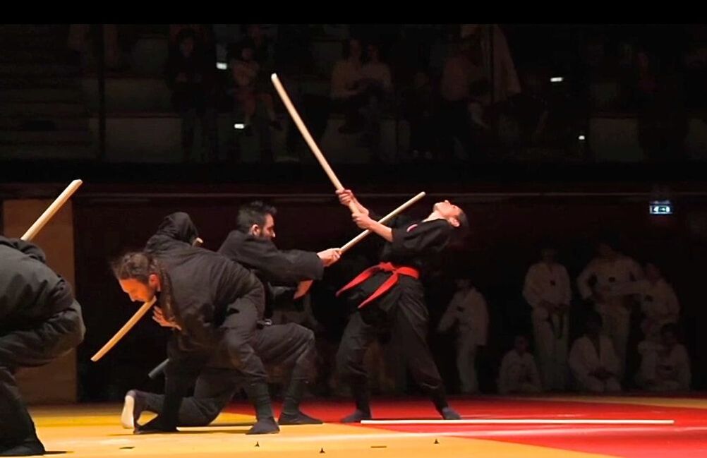 Main image of Dojo Ninja Paris