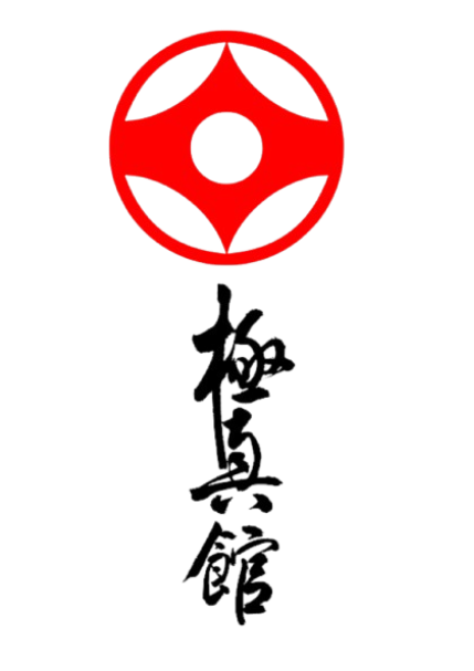 Main image of Dojo Nintai