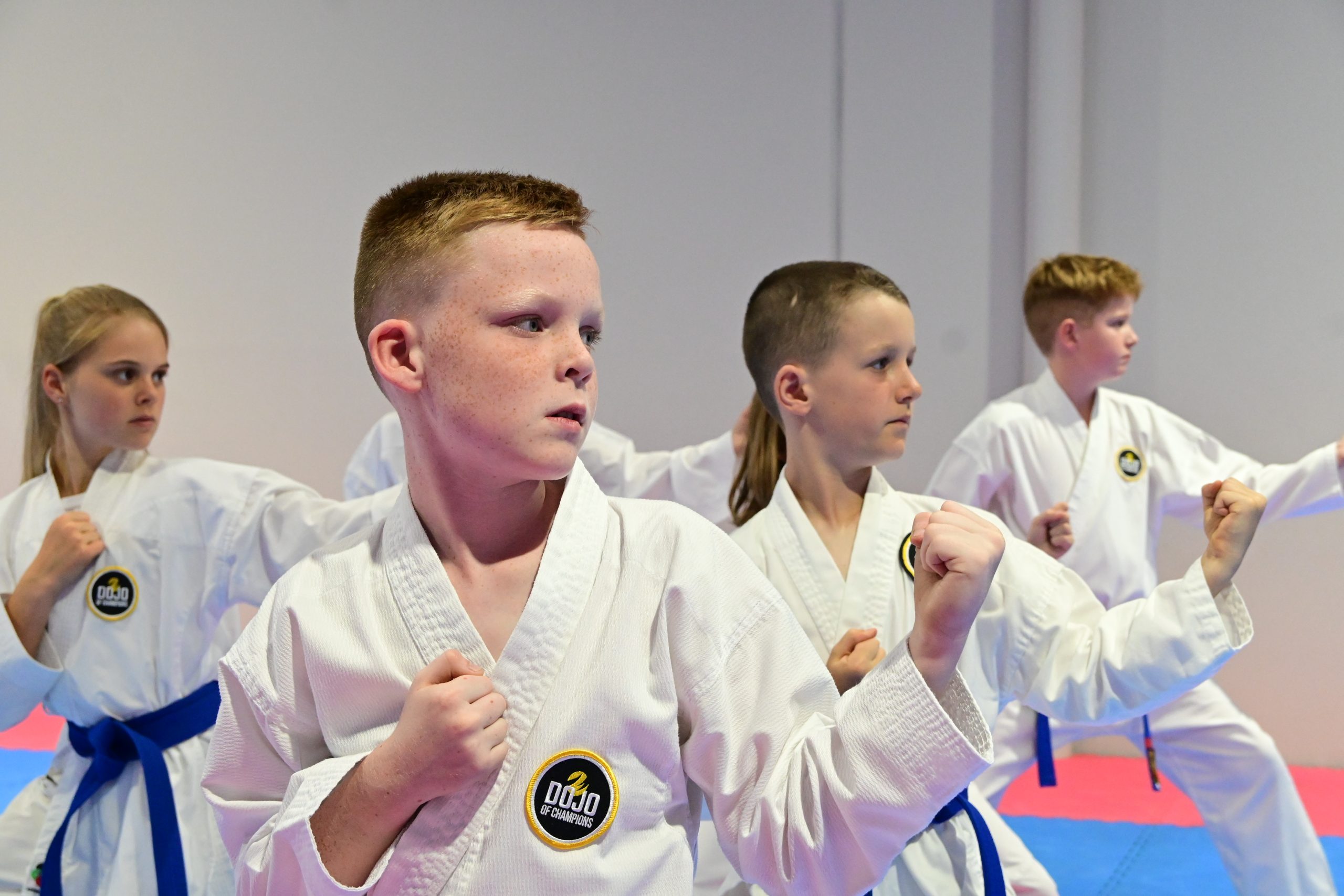 Main image of Dojo Of Champions