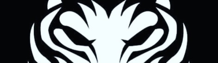 Main image of Dojo Panaro