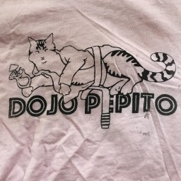 Main image of Dojo Pepito
