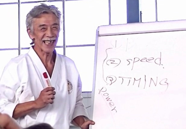 Main image of Dojo Satori