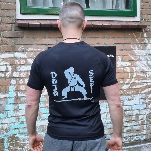 Main image of Dojo SEFI