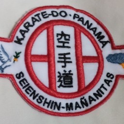 Main image of Dojo Seienshin Mañanitas Panamá