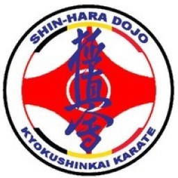 Main image of Dojo Shin Hara