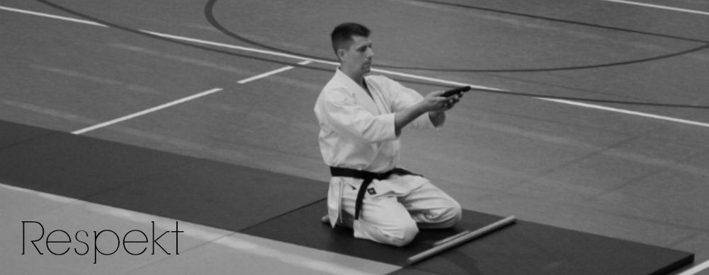 Main image of Dojo Shugyo