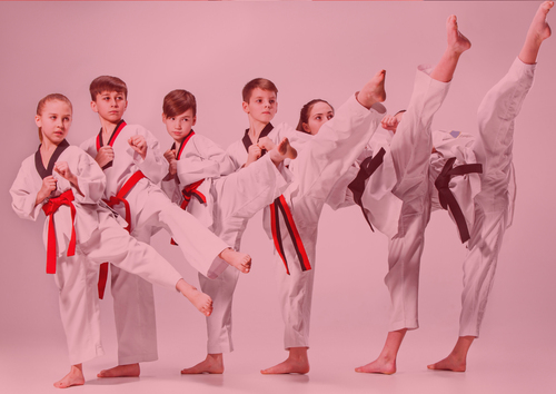 Main image of Dojo Talence