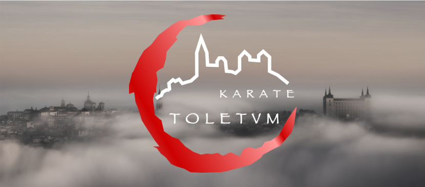 Main image of Dojo Toletvm