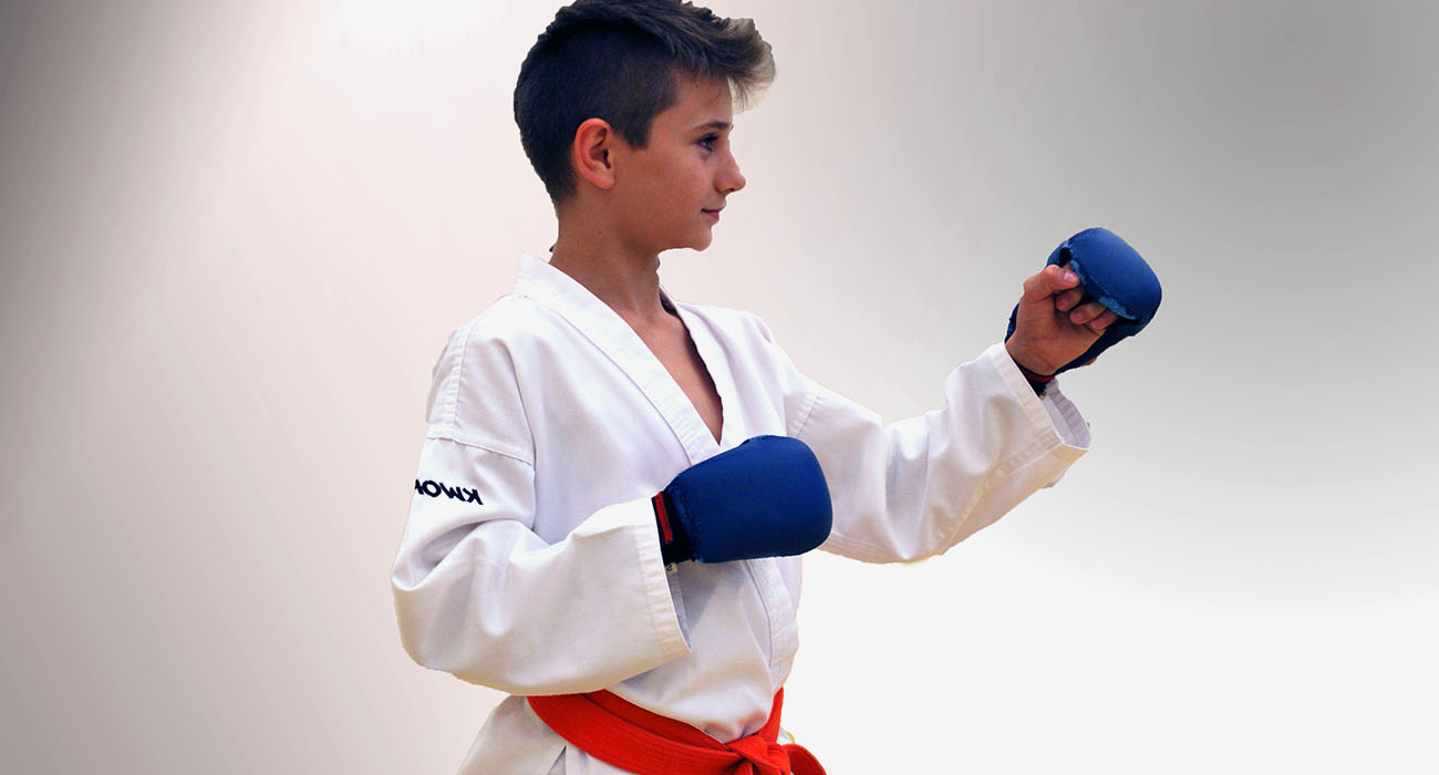 Main image of Dojo Winti