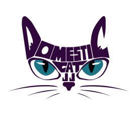 Main image of Domestic Cat JJ