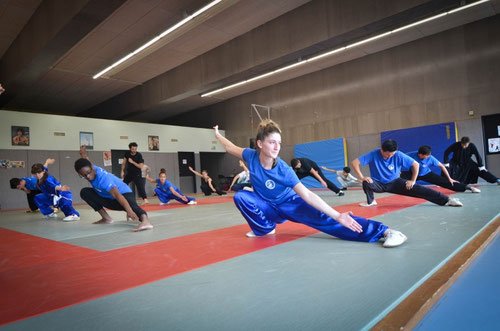 Main image of Dong Fang Wushu Courbevoie