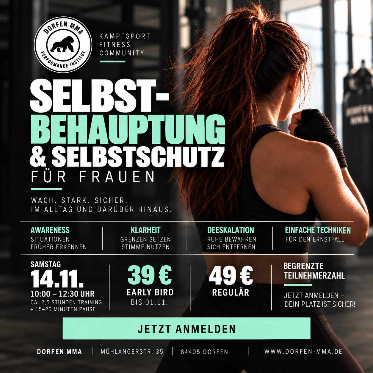 Main image of Dorfen MMA - Performance Institut