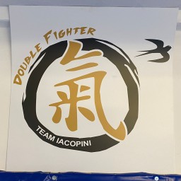 Main image of Double Fighter