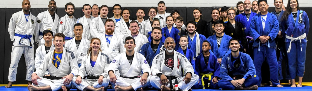 Main image of Double Phoenix Jiu Jitsu