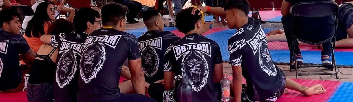 Main image of DR FIGHT TEAM