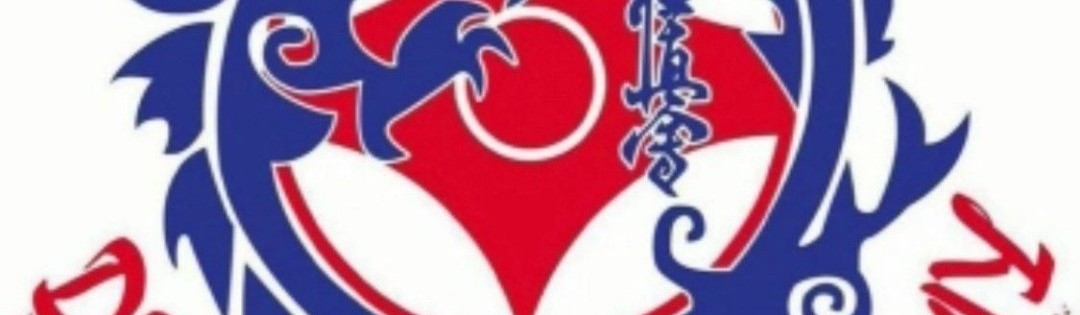 Main image of Dragon Academy