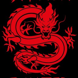 Main image of Dragon Fighter