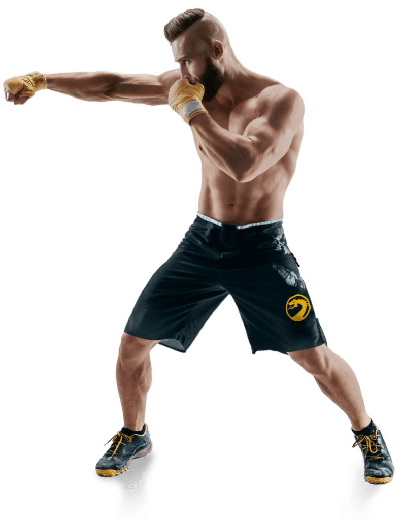Main image of Dragon Gym Erlangen