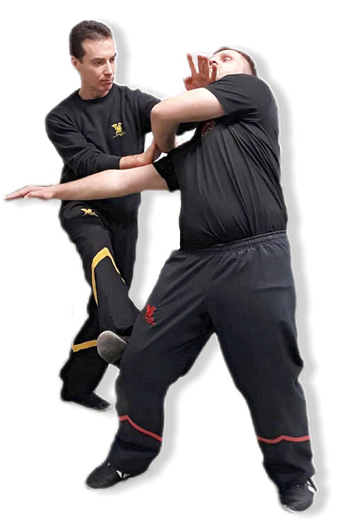 Main image of Dragos Wing Tsun