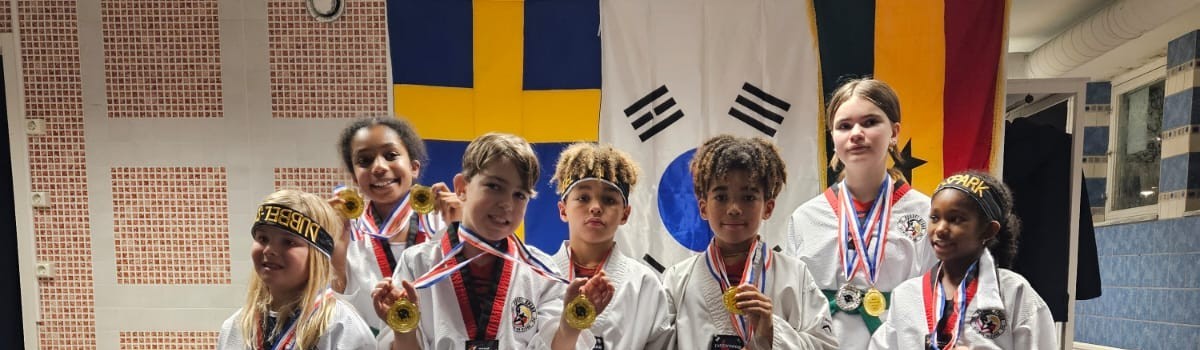 Main image of Dubbel Spark Taekwondo klubb