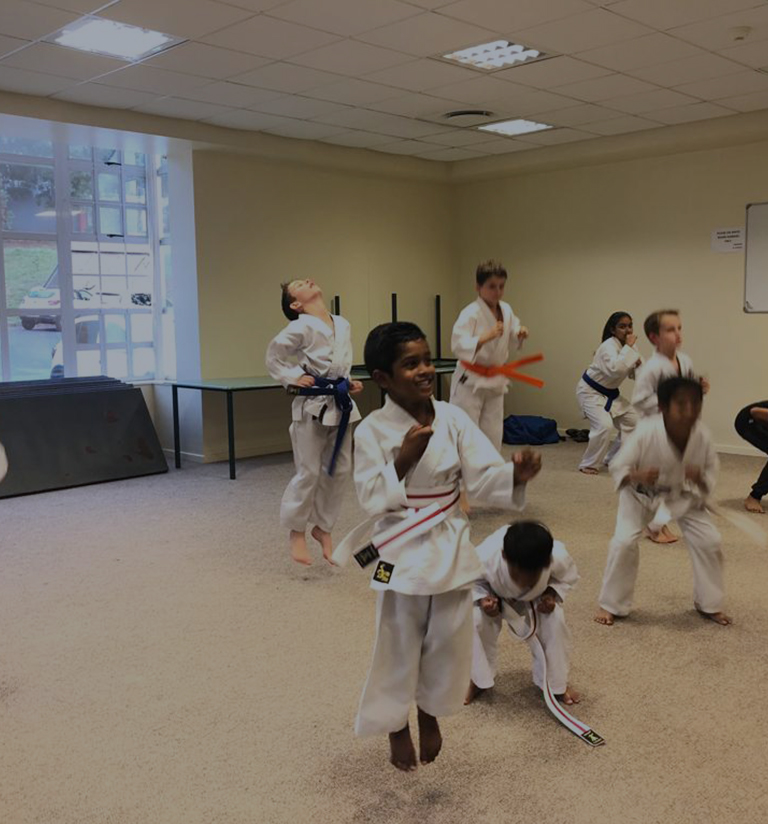 Main image of Durban North Karate Club