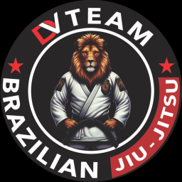 Main image of DV Team Jiu Jitsu