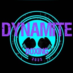 Main image of Dynamite Boxing