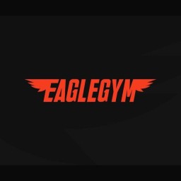 Main image of Eagle Gym Peja