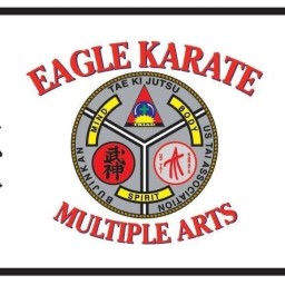 Main image of Eagle Karate Madisonville
