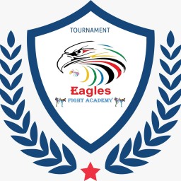 Main image of Eagles fight academy