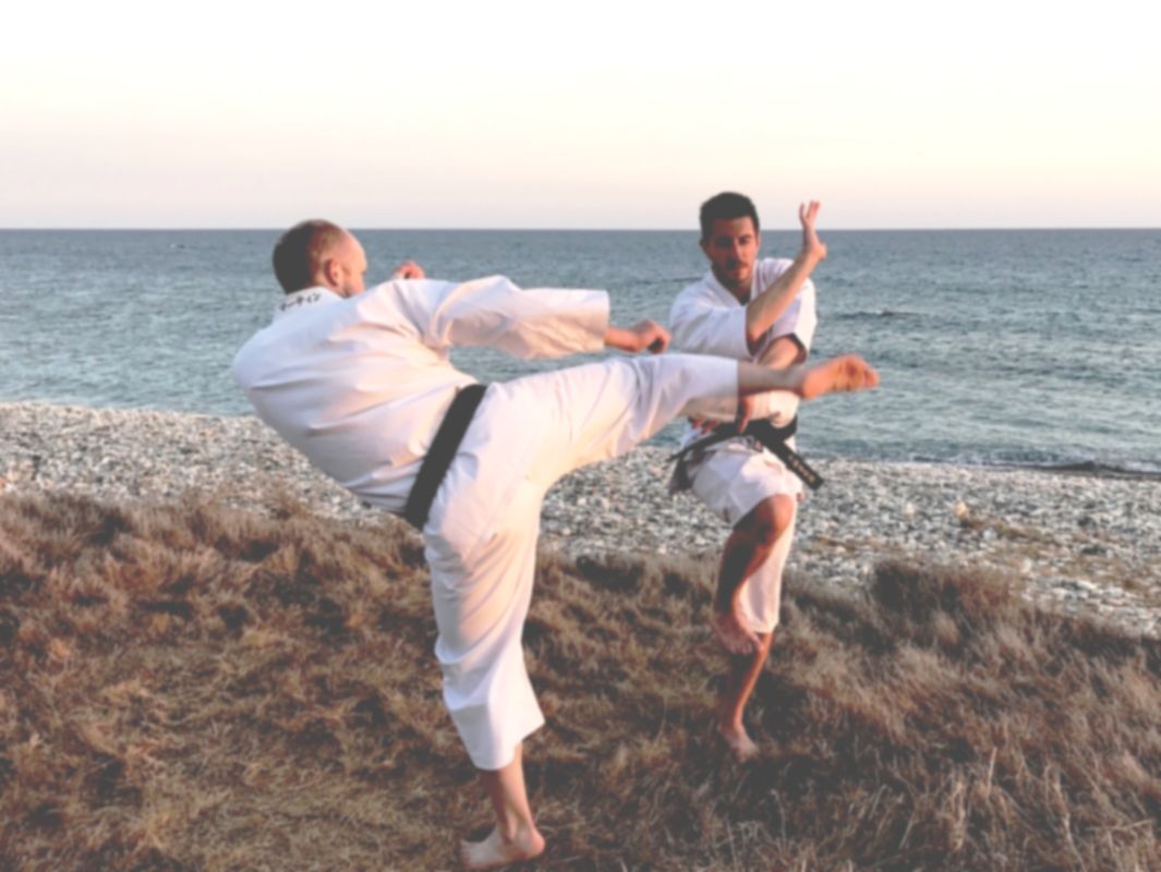 Main image of East London Shorinji Kempo