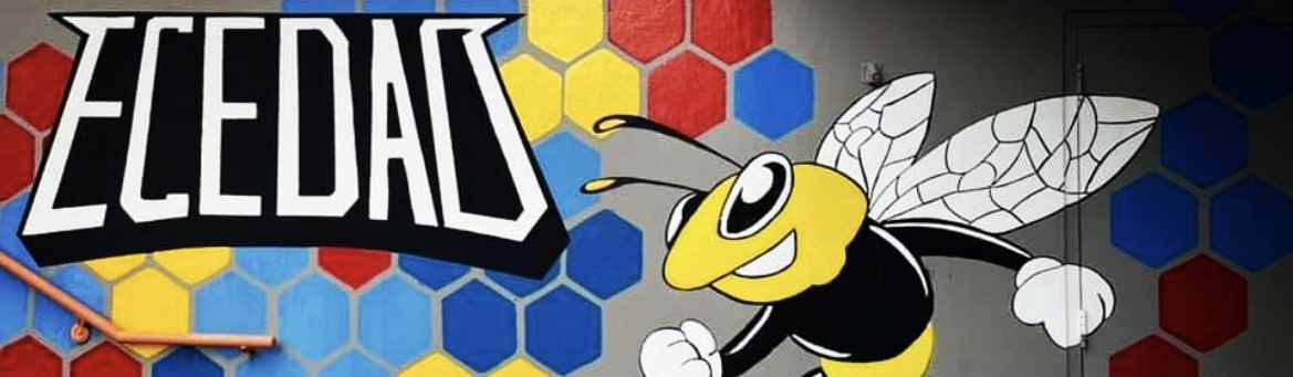 Main image of ECEDAO JUDO