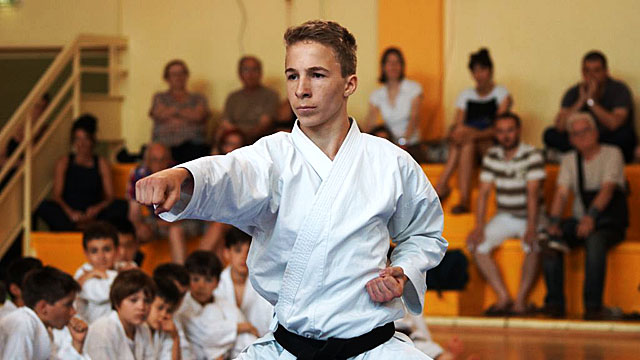 Main image of Ecole Clermontoise de Karate
